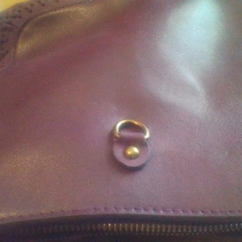 Purple purse
